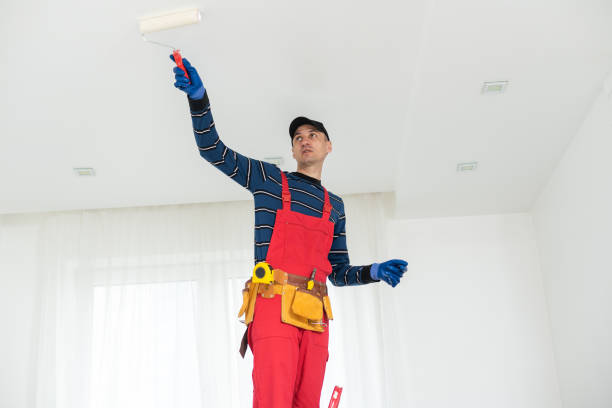 Best Attic Mold Removal  in Narberth, PA