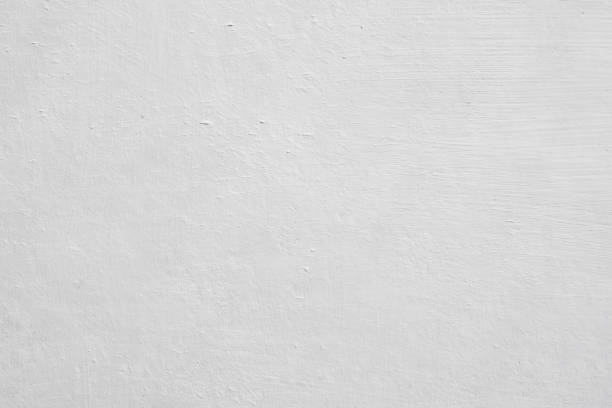 Best Emergency Mold Remediation  in Narberth, PA
