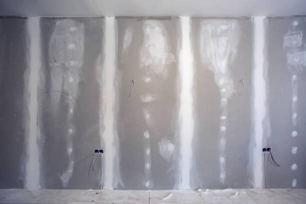 Best Mold Damage Restoration  in Narberth, PA